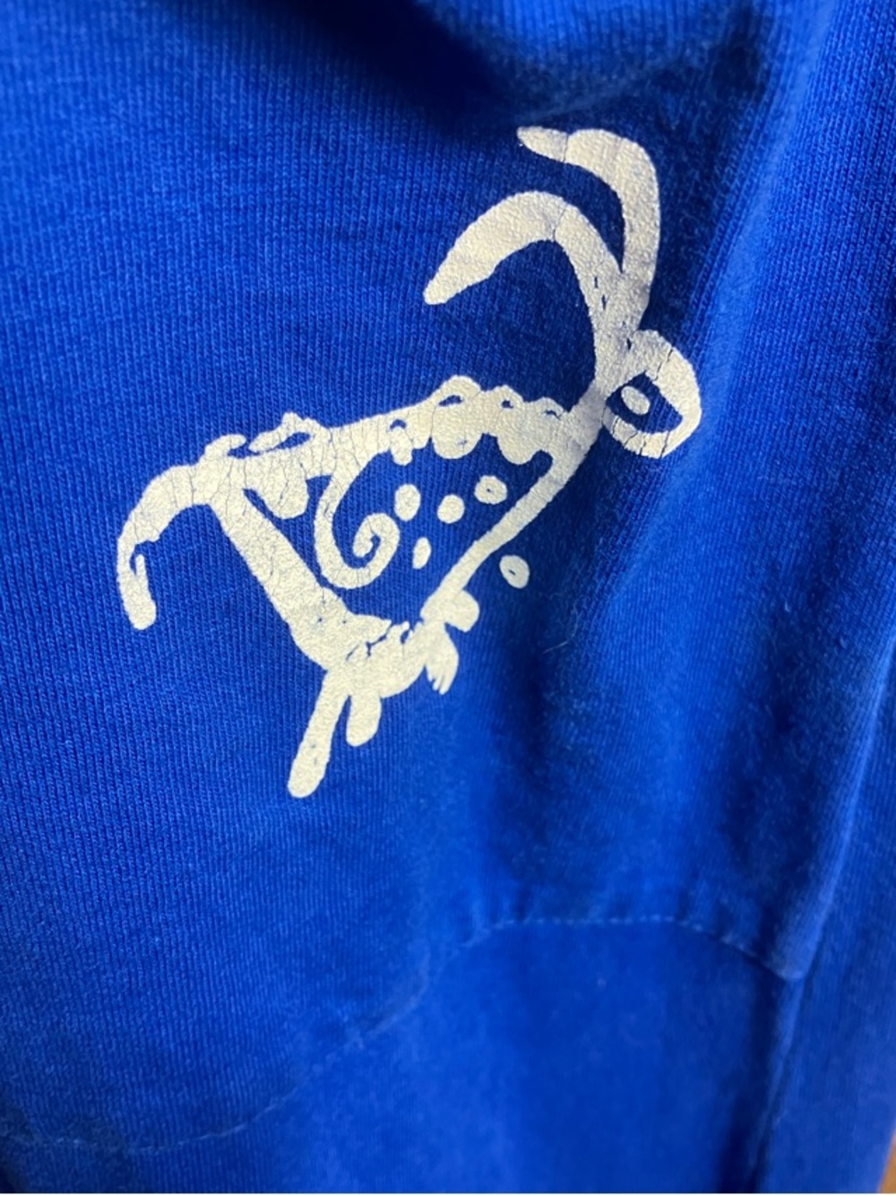 Just Be Royal Blue Maxi Dress with Embroidered Motif - Picture 10 of 12
